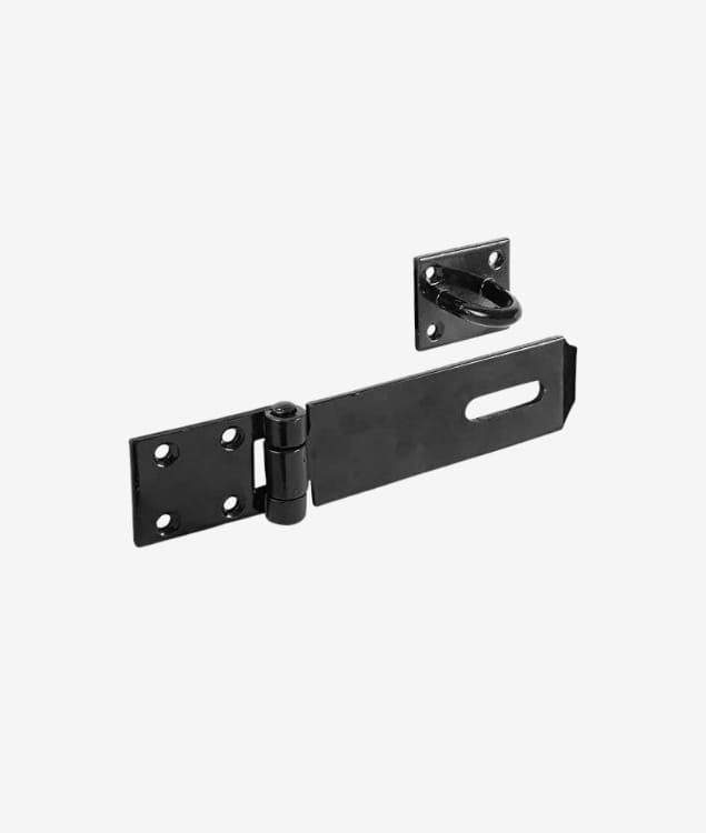 Hasp and Staple Lock